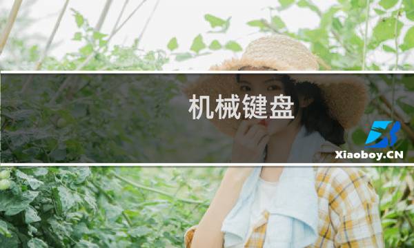 机械键盘 清理 - cherry机械键盘清洗